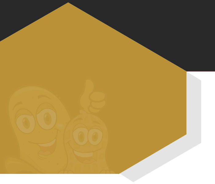 templatemo price img