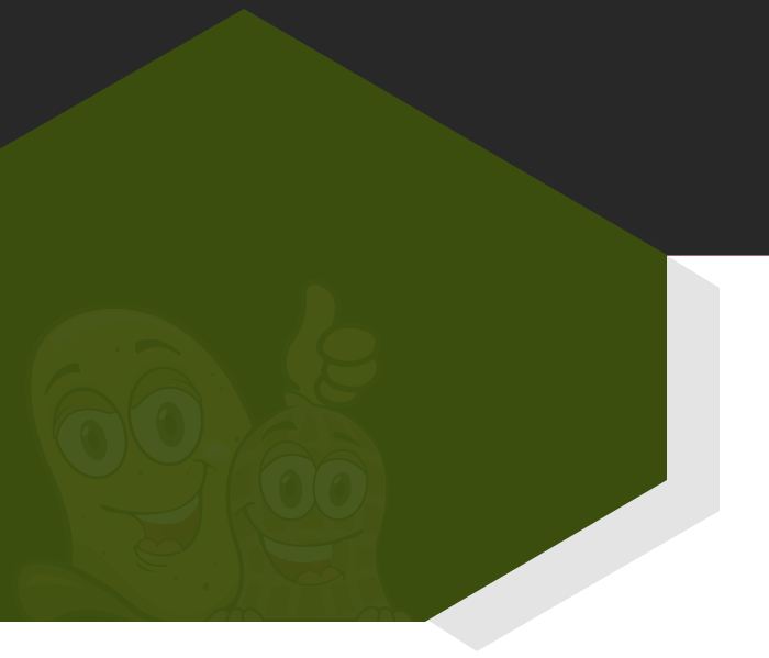 templatemo price img